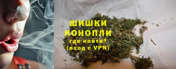 стафф Богородицк