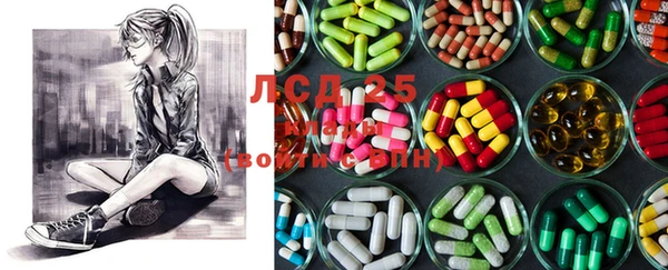 стафф Михайлов