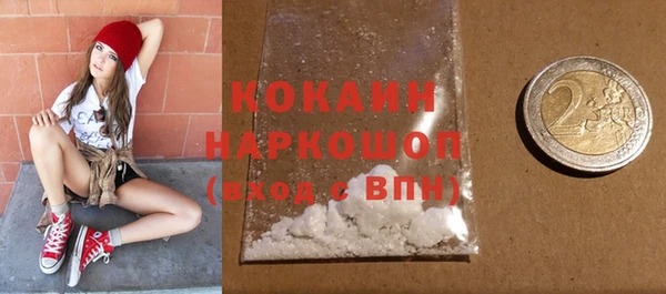 твердый Михайловск