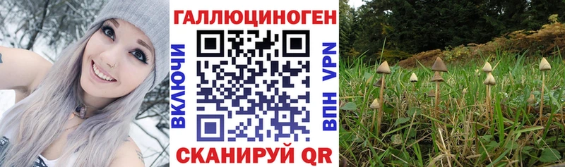 цена   hydra маркетплейс  Галлюциногенные грибы Cubensis  Нефтекамск 